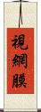 視網膜 Scroll