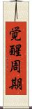 覚醒周期 Scroll