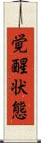 覚醒状態 Scroll