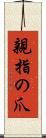 親指の爪 Scroll