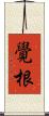 覺根 Scroll