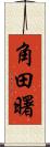 角田曙 Scroll