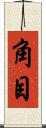 角目 Scroll