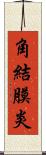 角結膜炎 Scroll