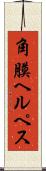 角膜ヘルペス Scroll