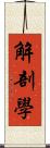 解剖學 Scroll