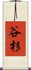 谷杉 Scroll