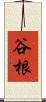 谷根 Scroll