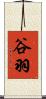 谷羽 Scroll