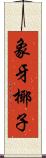 象牙椰子 Scroll