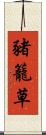 豬籠草 Scroll