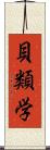 貝類学 Scroll