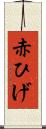 赤ひげ Scroll