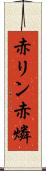 赤リン Scroll