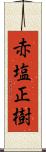 赤塩正樹 Scroll