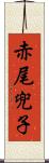 赤尾兜子 Scroll