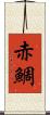 赤鯛 Scroll