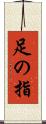 足の指 Scroll