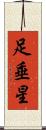 足垂星 Scroll