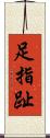 足指 Scroll