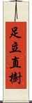 足立直樹 Scroll