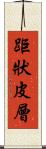 距狀皮層 Scroll