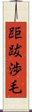 距跋渉毛 Scroll