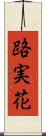 路実花 Scroll