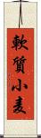 軟質小麦 Scroll