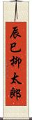 辰巳柳太郎 Scroll