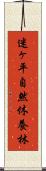 迷ヶ平自然休養林 Scroll