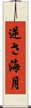 逆さ海月 Scroll