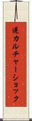 逆カルチャーショック Scroll