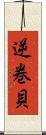 逆巻貝 Scroll
