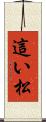 這い松 Scroll