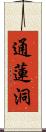 通蓮洞 Scroll