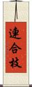 連合枝 Scroll