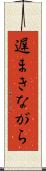 遅まきながら Scroll