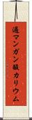 過マンガン酸カリウム Scroll