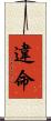違命 Scroll