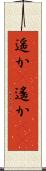 遥か(P) Scroll