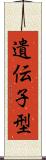 遺伝子型 Scroll