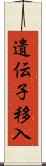 遺伝子移入 Scroll