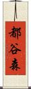 都谷森 Scroll