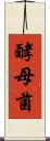 酵母菌 Scroll