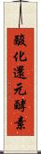 酸化還元酵素 Scroll