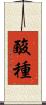 酸種 Scroll