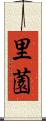 里薗 Scroll