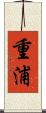 重浦 Scroll