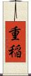重稲 Scroll